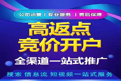 sem运营公司：效果为王的策略